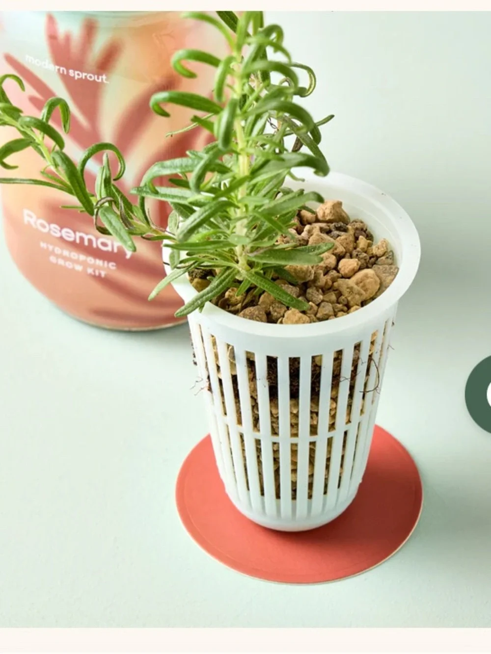 Modern Sprout Pint Jar Grow Kits bundles